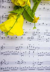 음표가 그려져있는 음악책과 소품(꽃, 식물), 아름다운 음악