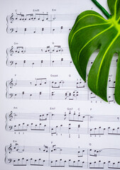 음표가 그려져있는 음악책과 소품(꽃, 식물), 아름다운 음악