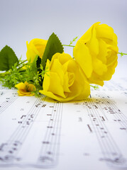 음표가 그려져있는 음악책과 소품(꽃, 식물), 아름다운 음악