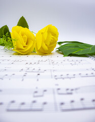 음표가 그려져있는 음악책과 소품(꽃, 식물), 아름다운 음악