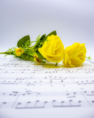 음표가 그려져있는 음악책과 소품(꽃, 식물), 아름다운 음악