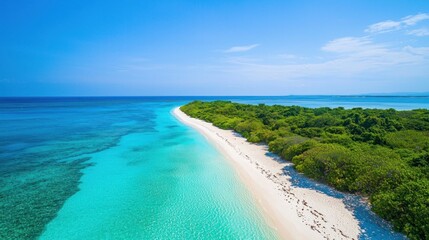 Fototapeta premium Pristine white sand beach with turquoise waters and lush greenery on sunny day.