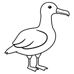Elegant Albatross Single Line Vector Illustration