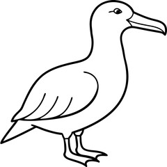 Elegant Albatross Single Line Vector Illustration