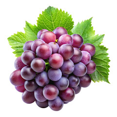 Fototapeta premium Lush Grape isolated on white background