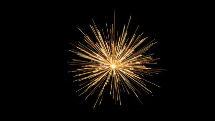 Fototapeta premium Golden Firework Burst in the Night Sky – Spectacular Celebration Display.