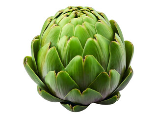 Fototapeta premium A vibrant, close-up shot of a single artichoke against a pure white background.