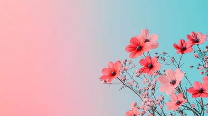 Obraz premium A vibrant arrangement of pink flowers against a soft gradient background, creating a serene and artistic atmosphere.