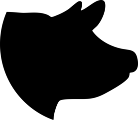 silhouette pig