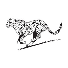 Cheetah   Vector 