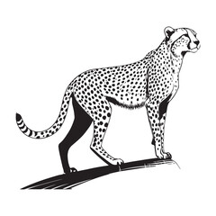 Cheetah   Vector 