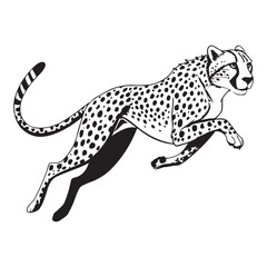 Cheetah   Vector 