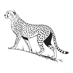 Cheetah   Vector 