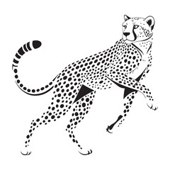 Cheetah   Vector 