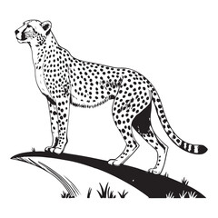 Cheetah   Vector 