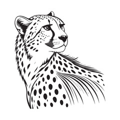 Cheetah   Vector 