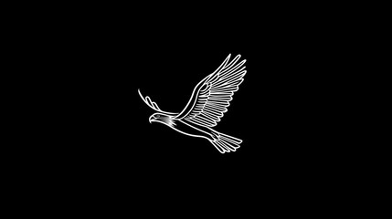 Obraz premium Eagle in flight, dark background, nature, freedom