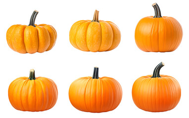 Six pumpkins of varying sizes, isolated on white background.
