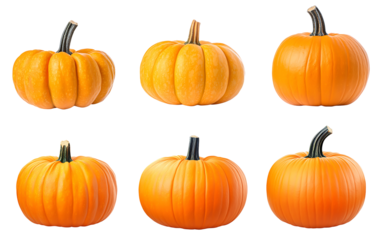 Six pumpkins of varying sizes, isolated on white background.