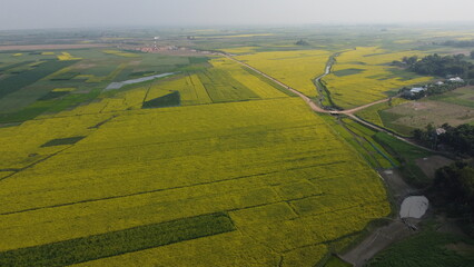 Fototapeta premium Natural Agriculture