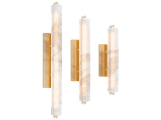 RH Audubon Single Sconce - Elegant Lighting Fixture Against white Background	