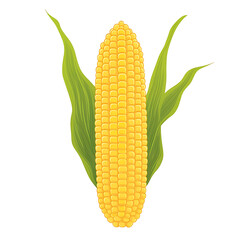 Bright yellow corn on the cob with green leaves on black background, representing harvest time. Healthy food, vegetable, sweetcorn, and agriculture.