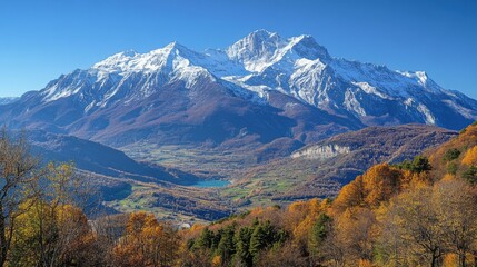 Fototapeta premium Mountain with snow on peak. Autumn trees in valley. Scenic nature with blue sky. Colorful landscape. Beautiful scene of high mountains.