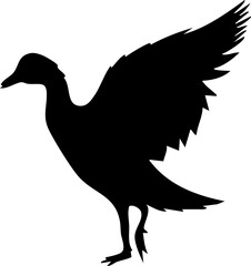 silhouette swan