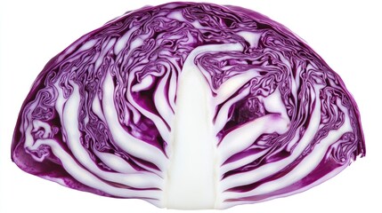 Red Cabbage Slice, Close-up, Isolated