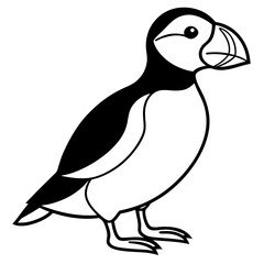 Elegant Puffin Outline Vector Art