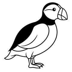 Elegant Puffin Outline Vector Art