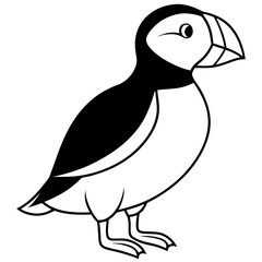 Elegant Puffin Outline Vector Art