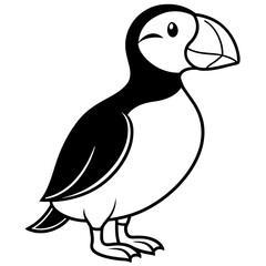 Elegant Puffin Outline Vector Art