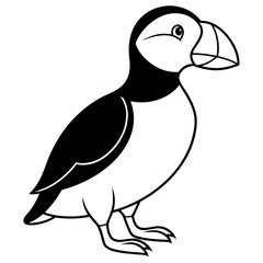 Elegant Puffin Outline Vector Art
