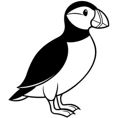 Elegant Puffin Outline Vector Art