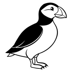 Elegant Puffin Outline Vector Art