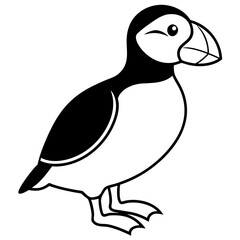 Elegant Puffin Outline Vector Art