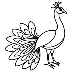 Graceful Peacock Single Line Vector Design