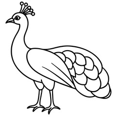Graceful Peacock Single Line Vector Design