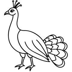 Graceful Peacock Single Line Vector Design