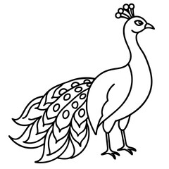 Graceful Peacock Single Line Vector Design