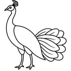 Graceful Peacock Single Line Vector Design