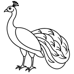 Graceful Peacock Single Line Vector Design