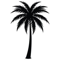 Obraz premium A pure black silhouette of a tall and slightly curved palm tree with long, arching fronds, 