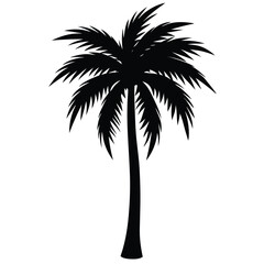 Fototapeta premium A pure black silhouette of a tall and slightly curved palm tree with long, arching fronds, 