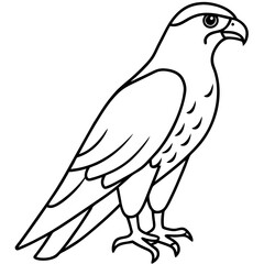 Minimal Falcon Vector