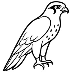 Minimal Falcon Vector