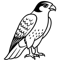 Minimal Falcon Vector