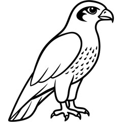 Minimal Falcon Vector