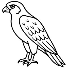 Minimal Falcon Vector
